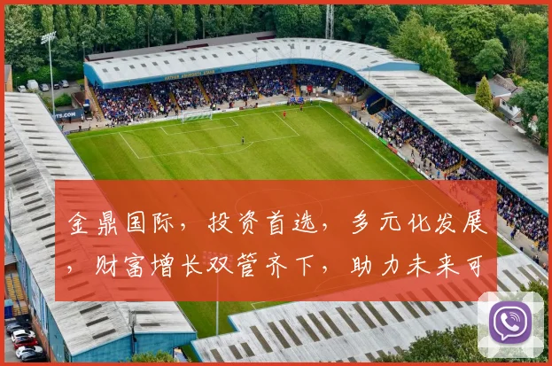 金鼎国际，投资首选，多元化发展，财富增长双管齐下，助力未来可期