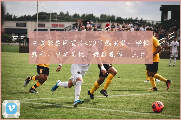 中国彩票网官方app下载安装，轻松购彩，中奖无忧，便捷操作，三步到位，快来体验