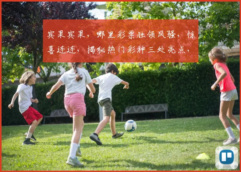 宾果宾果，哪里彩票独领风骚，惊喜连连，揭秘热门彩种三处亮点，不容错过