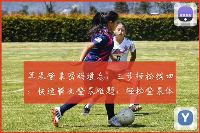 苹果登录密码遗忘，三步轻松找回，快速解决登录难题，轻松登录体验